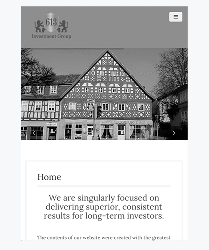 613 Investment Group Corporate Website - Professional business site design